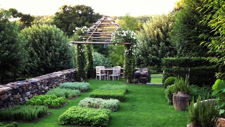 Скриншот: карточка растения