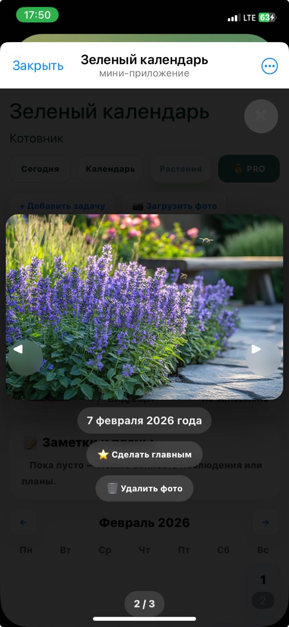 Скриншот: фото/галерея