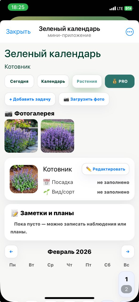 Скриншот: карточка растения